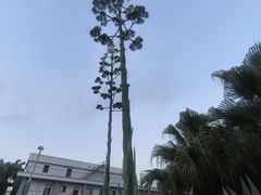 -四川大学(望江校区)