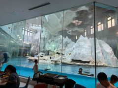 -帝企鹅自助餐厅•儿童岛•真企鹅(长隆企鹅酒店)