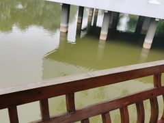 -黄山香茗国际酒店