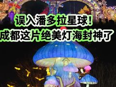 -国际非物质文化遗产博览园