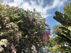 -深圳国际园林花卉博览园