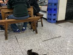 -老白家水盆羊肉