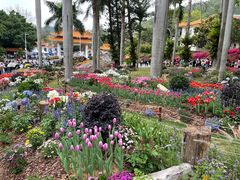 -深圳仙湖植物园