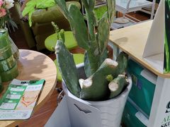 -华润万家(天河东店)