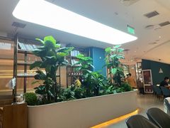 -悦海·家宴·冰花皮皮虾大锅贴(宝龙店)