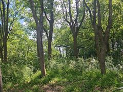 -长广溪湿地公园