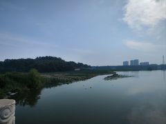 -大兴滨河森林公园