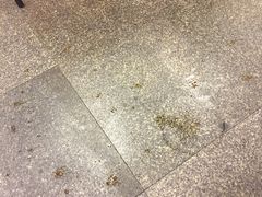 -振鼎鸡(华阴路店)