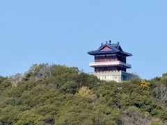 -黄贤森林公园
