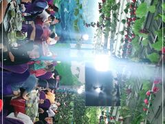 -马白开来特色羊排揪片子  (总店)