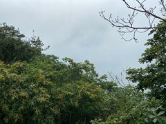 -罗田薄刀峰风景区
