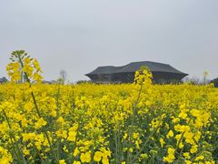 -中国天府农业博览园