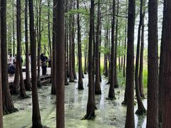 -云龙湖旅游景区