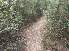 -会稽山峡洞漂流-上青古道