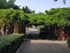 -大连人民广场