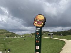 -仰天湖大草原