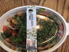 -油梨树 AVOCADO TREE(亮马桥店)
