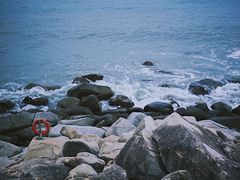 -广东惠东海龟国家级自然保护区