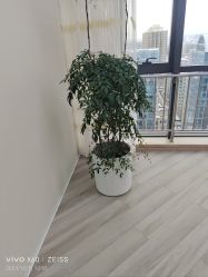 -HEYAN荷妍专业脱毛连锁机构