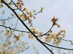 -西北湖绿化广场