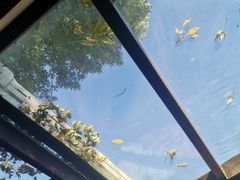 -VOYAGE COFFEE(北锣鼓巷店)