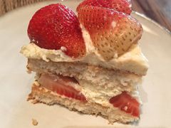 -Wagas沃歌斯(枫蓝国际店)