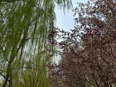-河北省园博园