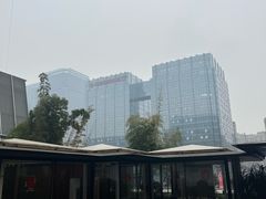 -合景·悠方(成都店)