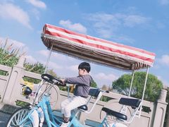 -南湖湿地公园