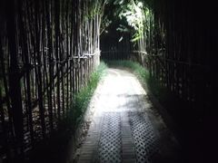 -天津东丽湖风景区