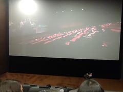 -SFC上影影城(港汇永华IMAX激光店)