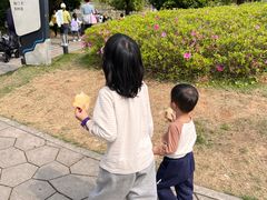 -牛岗山公园