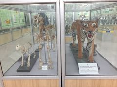 -北京中医药大学-中医药博物馆