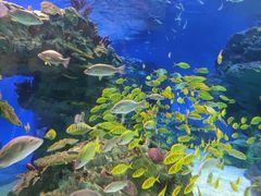 -海合安成都极地海洋公园