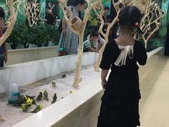 -台州海洋世界