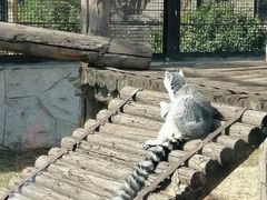 -秦皇岛野生动物园