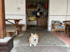 -茶米人台湾料理·精致快简餐