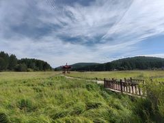 -塞罕坝国家级自然保护区