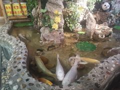 -多哥水傣味餐厅(司马巷店)