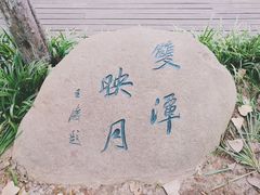 -合肥滨湖国家森林公园