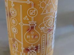 -野萃山·潮汕厚果汁(十亩地店)