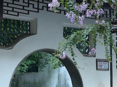 -上海醉白池公园