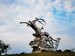 -广富林郊野公园