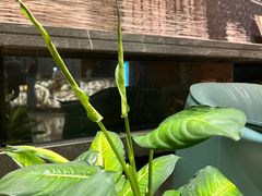 -格林东方酒店(独墅湖尹山湖郭苑路地铁站店)