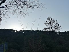 -树山生态村