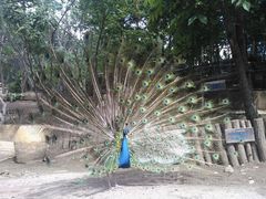 -哈尔滨北方森林动物园