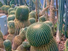 -郑州植物园