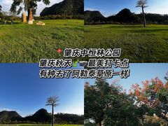 -鼎香皇高佬苏裹蒸粽