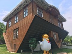 -金山农民画村-枫泾波兰倒置屋