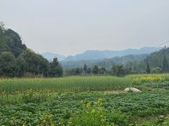 -雅安上里古镇